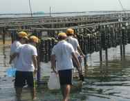 �n��O�̊L�x